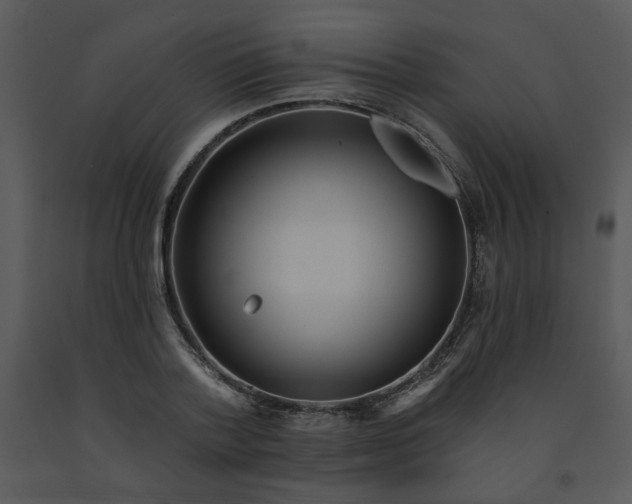 X0000091460788200708301830