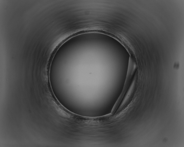 X0000091460789200708301830