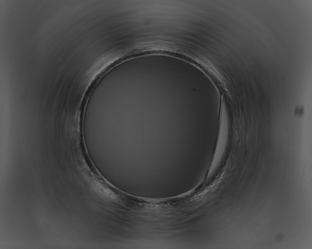 X0000091460790200708301830