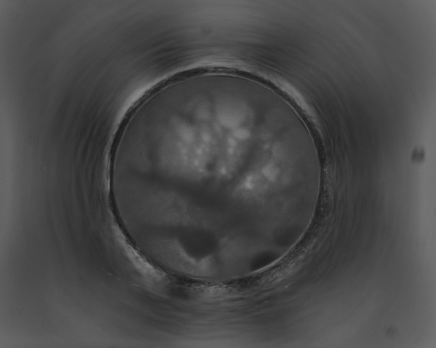 X0000091460791200708301830