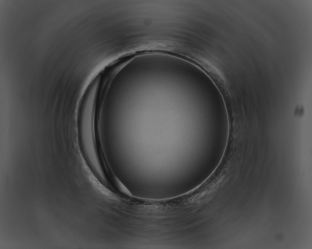 X0000091460792200708301830