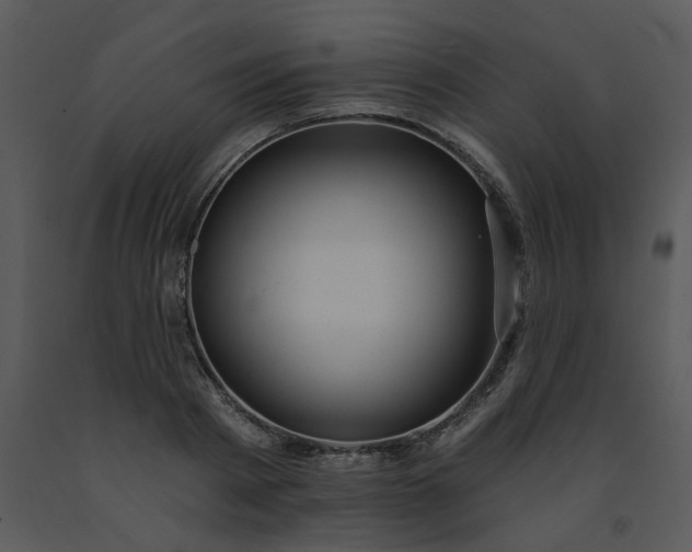 X0000091460793200708301830