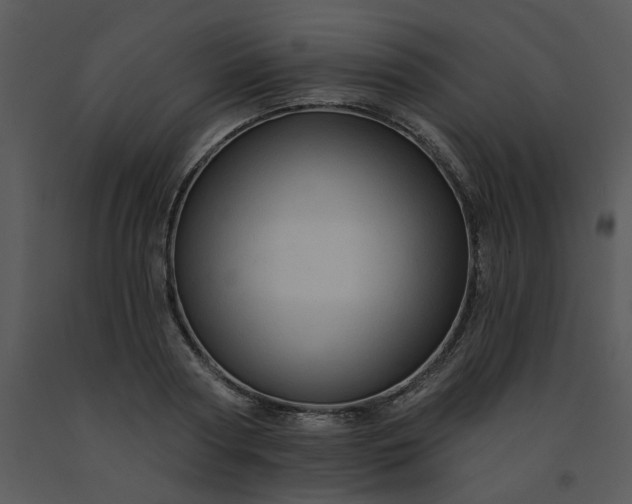 X0000091460794200708301830