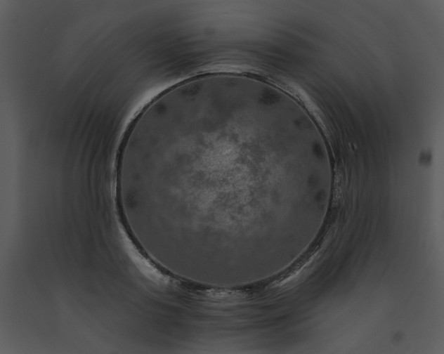 X0000091460795200708301830