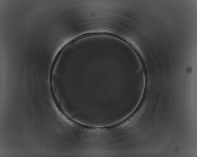 X0000091460797200708301830