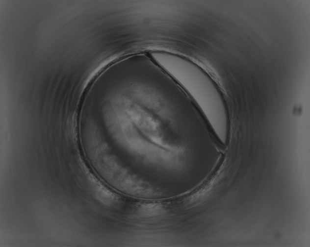 X0000091460798200708301830