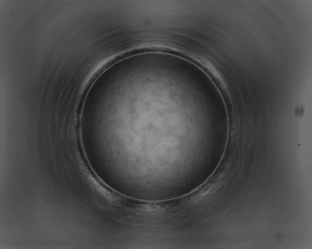 X0000091460799200708301830