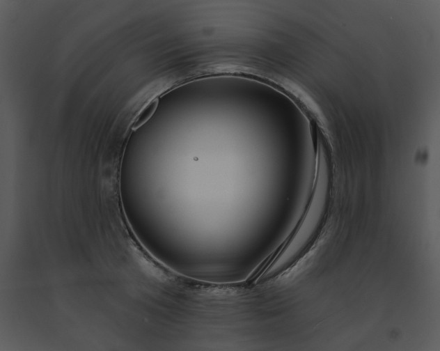 X0000091460801200708301830