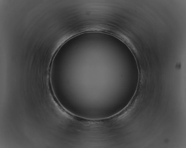 X0000091460802200708301830