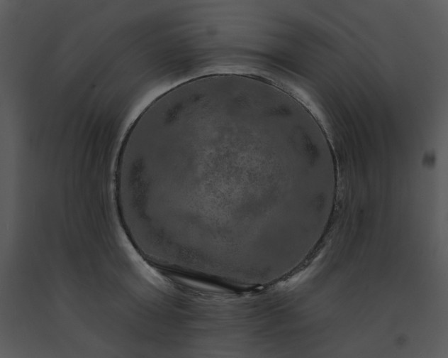 X0000091460803200708301830