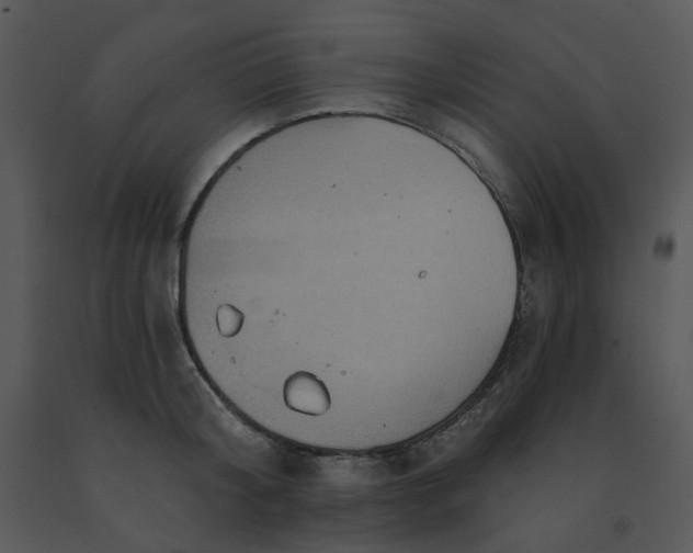 X0000091460804200708301830