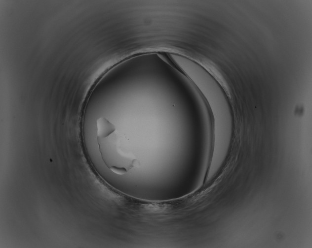 X0000091460805200708301830