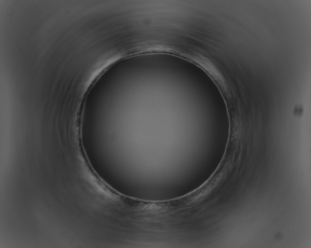 X0000091460806200708301830