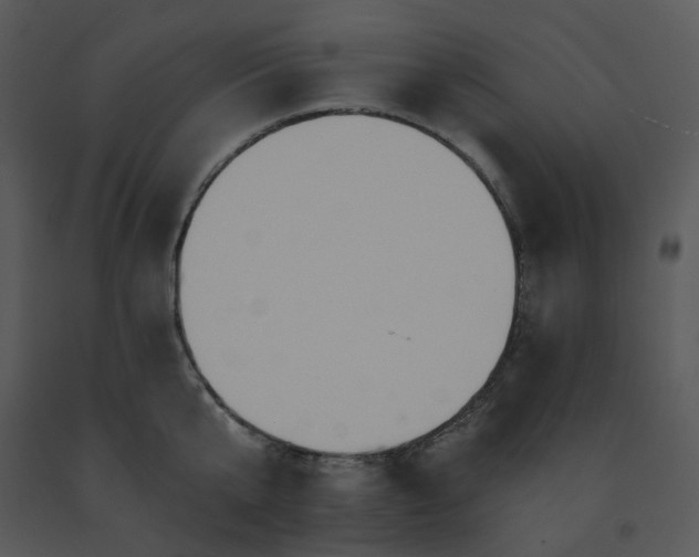 X0000091460807200708301830