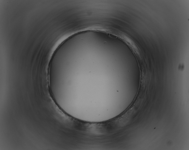 X0000091460808200708301830