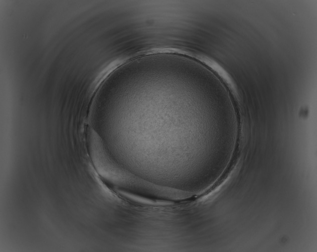 X0000091460809200708301830