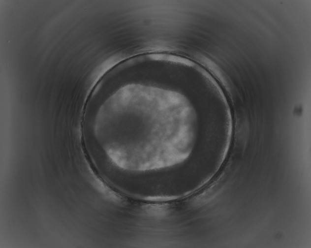 X0000091460810200708301830