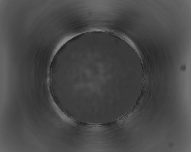 X0000091460811200708301830