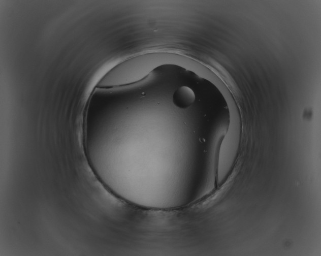 X0000091460812200708301830