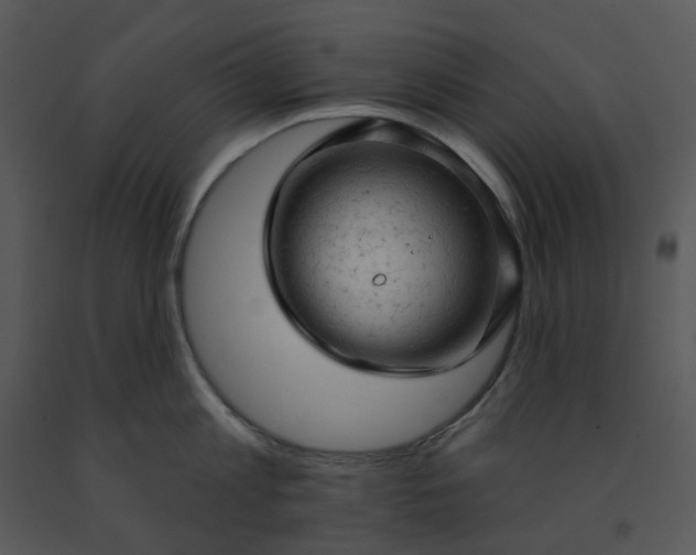 X0000091460813200708301830