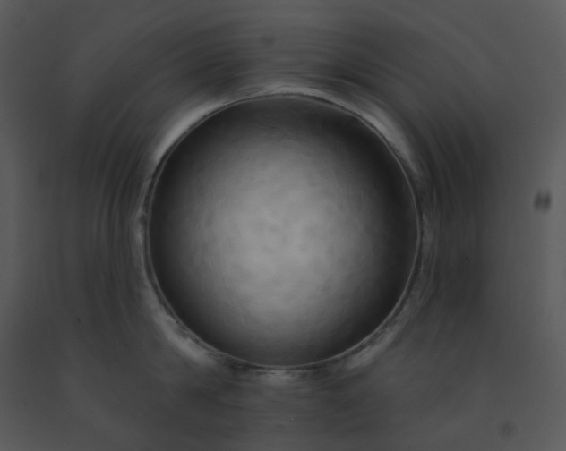 X0000091460814200708301830