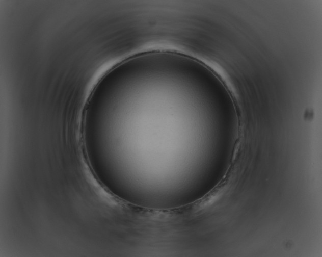 X0000091460815200708301830