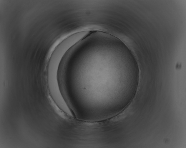 X0000091460816200708301830