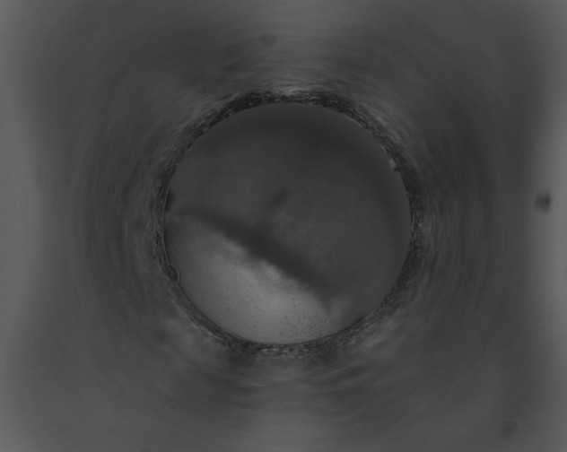 X0000091460817200708301829