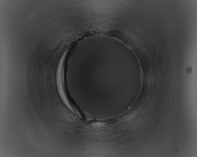 X0000091460818200708301829