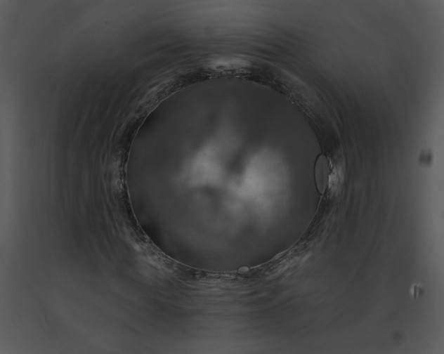 X0000091460819200708301829