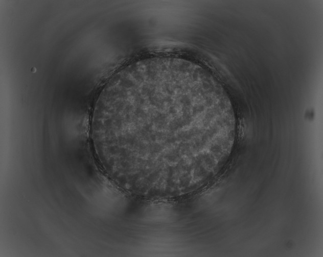 X0000091460820200708301829