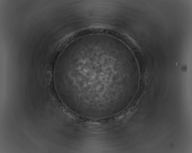 X0000091460821200708301829