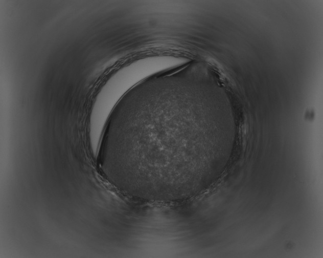 X0000091460822200708301829