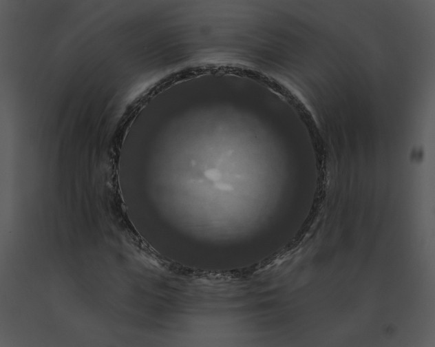 X0000091460823200708301829