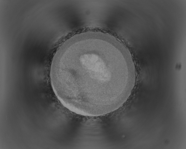 X0000091460824200708301829