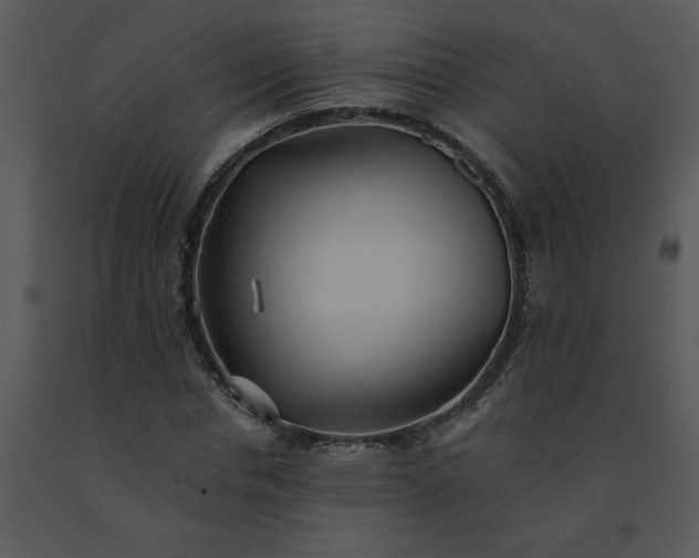 X0000091460826200708301829