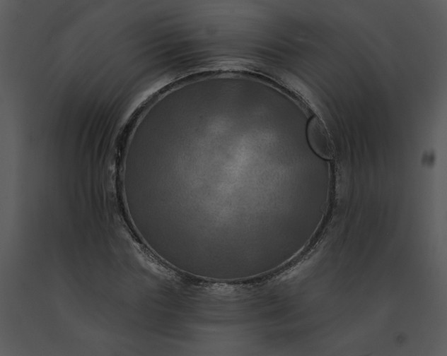 X0000091460827200708301829