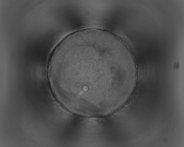 X0000091460828200708301829