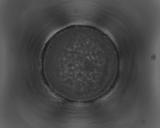 X0000091460829200708301829