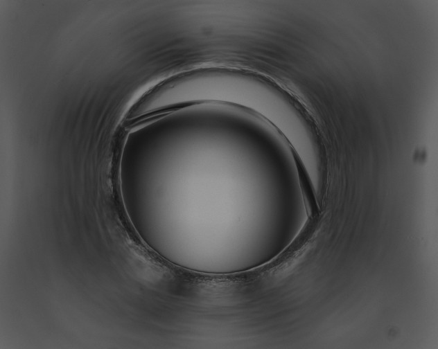 X0000091460830200708301829