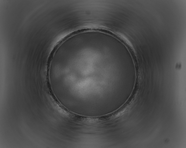 X0000091460831200708301829