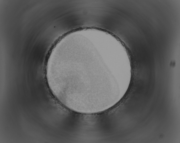 X0000091460832200708301829