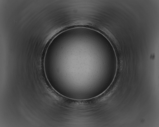 X0000091460834200708301829