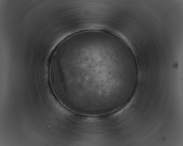 X0000091460835200708301829