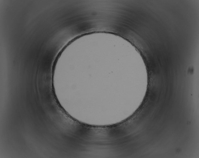 X0000091460836200708301829