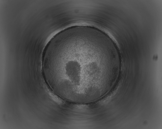 X0000091460837200708301829