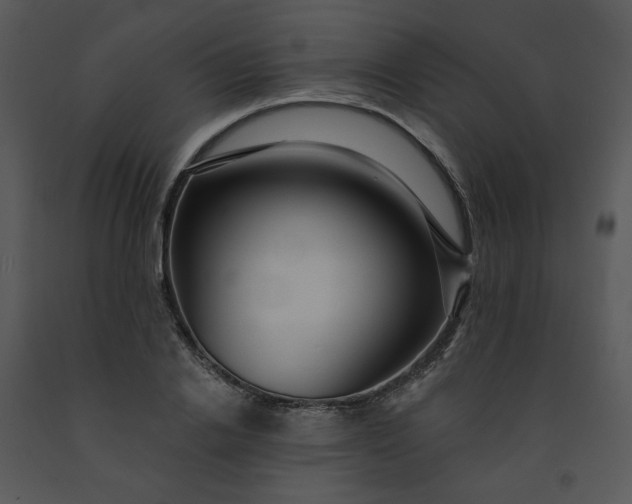 X0000091460838200708301829