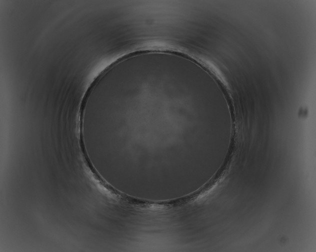 X0000091460839200708301829