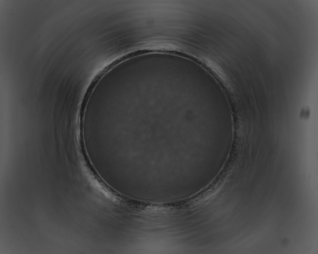 X0000091460840200708301829