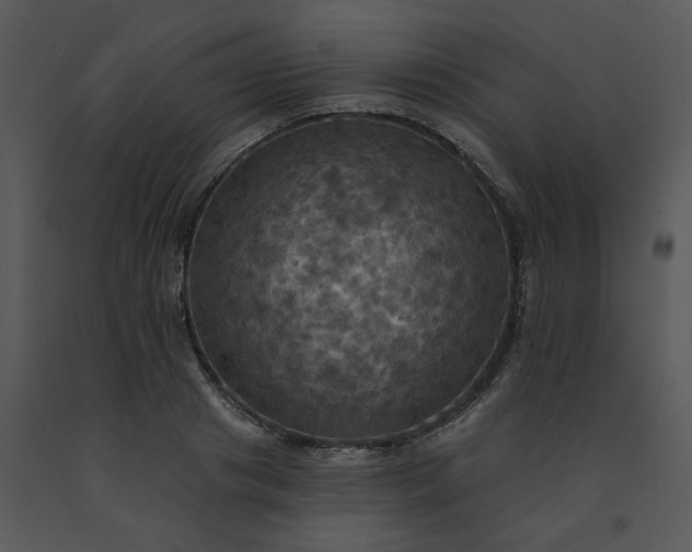 X0000091460841200708301829